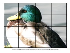 Puzzle-Stockente-2.pdf